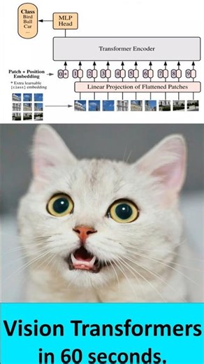 Vision Transformers Explained in 60 Seconds