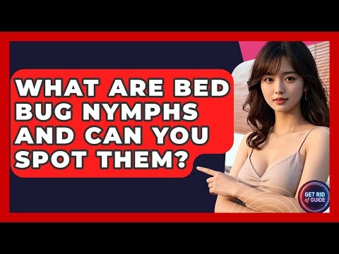 What Are Bed Bug Nymphs And Can You Spot Them? - Get Rid Of Guide