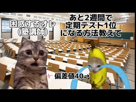 【学年1位が教える】誰でも定期テストで5教科490点取る勉強法。【猫ミーム】 #定期テスト #大学受験 #勉強