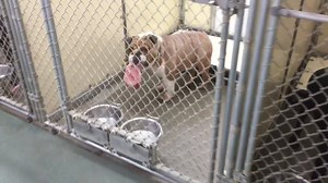 35K views · 511 reactions | It is heart breaking to see a full...