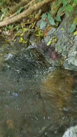 The most beautiful waterfall view - From the spring water source #nature #shorts #beautiful #short