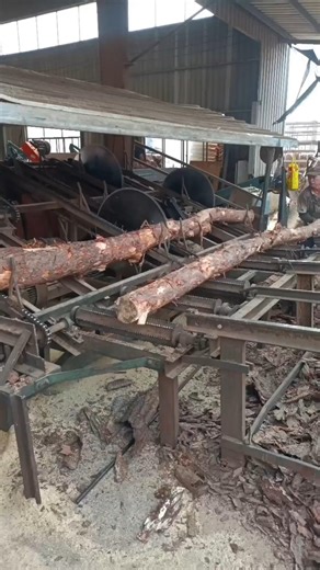 Wood processing automated production line take you on the wood fun