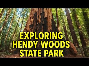 Exploring Hendy Woods State Park | Redwoods Escape Near Fort Bragg, California