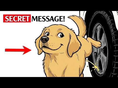 Dog Psychology - Decoding the "Post-Poop Kick": Why Your Dog Acts Like an Angry Bull