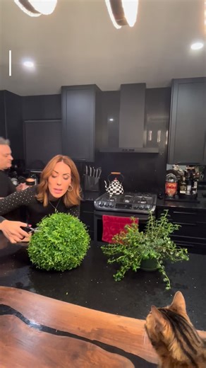 In the words of @davidbeckham … ‘BE HONEST’ — how many “subtle hints” have you dropped already? 🤭🫣 A mysteriously well-trimmed plant… Smooth tennis balls for “fetch” 🐶😉… Flipping every furry pillow to the smooth side… And Ross judging him with both eyes… If you’re officially done hinting and ready for him to just trim it, tame it, and thank you later … @manscaped is about to become your new marital miracle 😉✂️ ✅ Cleaner lines ✅ Fewer jump-scares in the wild 🟰 One VERY happy partner (you’re