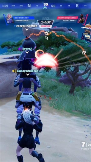 Chicken Fighting in Fortnite