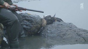 The duck hunting debate