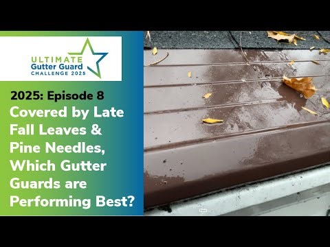 Covered by Late Fall Leaves & Pine Needles, Which Gutter Guards are Performing Best? [2025 EP:8]