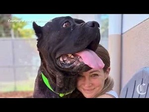 How two dogs from Oakland ended up at Miranda’s Rescue — and one survived