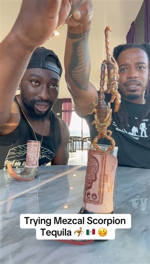 Can’t believe we tried the Scorpion Tequila 🦂 🇲🇽 🥴 #mexico #mezcal #scorpion #tequila #food #drink #atlanta #toofoolee #fyp | Too Foolee