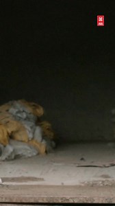 Movie World Cinemas on Reels