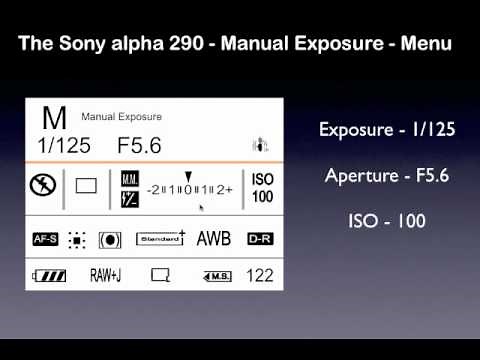 Sony alpha 290 - Manual exposure - menu