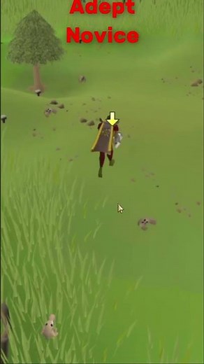 New OSRS Update
