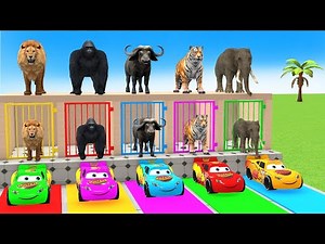 Long Slide Game With Cow Elephant Gorilla Hippopotamus Tiger 3d Animal Game Funny 3d Animals
