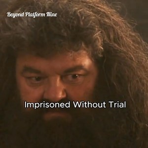 The Most Overlooked Facts In Harry Potter 🤫. #highlightseveryone #movies #follower #friends #movieclips #reelsviralシfb #movietime #facebookreel #reelsviralシ #facebookreelsvideo #StarsEverywhere #fypシ゚ #reelsvideoシ #reelsfbシ | Beyond Platform Nine