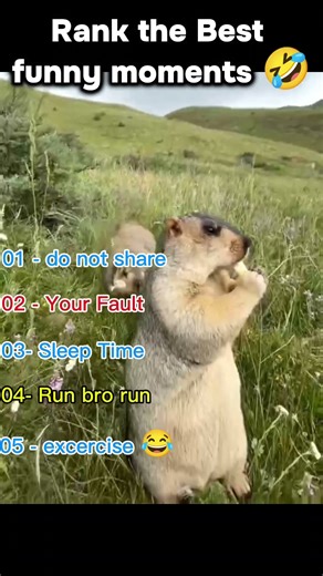 Funny moments #funny