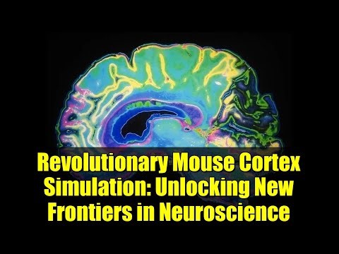 Revolutionary Mouse Cortex Simulation: Unlocking New Frontiers in Neuroscience