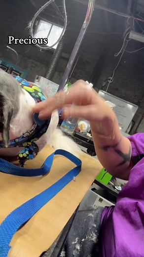 I love Precious and I think she loves me. | Becky Isenberg