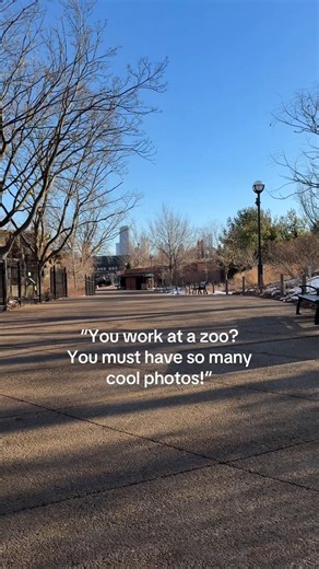 🫣 #rhinos #zoo #animals | Zoo Animal