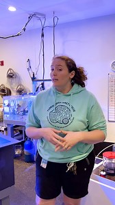 31 reactions | Today we met with Brooke, a Senior Biologist on our Cnidarian Team, to learn about what Moody Gardens is doing in our Coral Rescue Lab!  #FINtasticFriday | Moody Gardens | Facebook