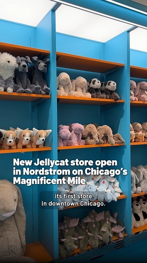582K views · 1.7K reactions | Popular toy company Jellycat has...