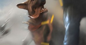 Fallout 4 Creation Kit in open beta, mods coming to consoles starting in May