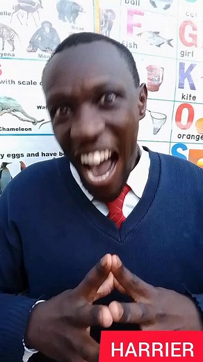 1.5K views · 127 reactions | Construct a sentence using the word HARRIER ❤️ | Comedian kamic | Facebook