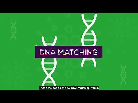 How does DNA matching work?