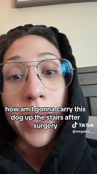 TPLO Recovery Tips for Your Dog's Healing Journey