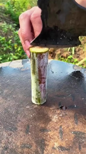 Understanding Trans Identity and Passing in Society