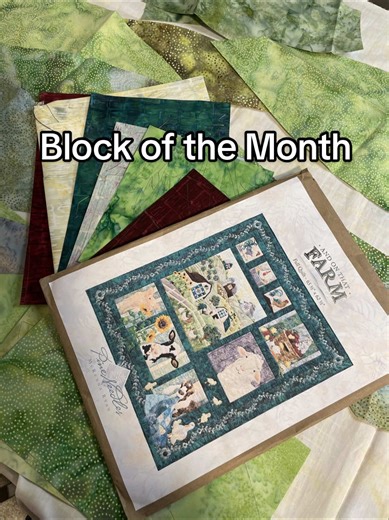 I have a few block of the month quilts planned for this year and I’m so excited to get started on this one! This is the And On That Farm BOM quilt from @Stitchin' Heaven They have so many different block of the month quilts going on in 2026 and I just want to do them all!! #quilting #quilts #quilter #blockofthemonthquilt #quilt