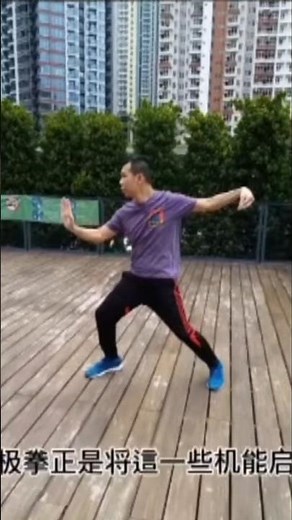 「葉形菲」講解練「太極拳」套路有什麼作用？「李小龍」不練套路有什麼損失？ #shorts #葉形菲 #李小龍 #太極拳 #brucelee #楊式太極拳 #陳式太極拳 #wushu #kungfu
