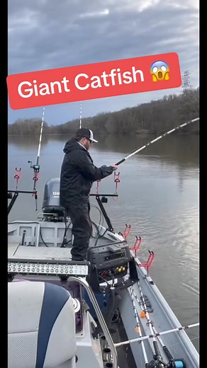 22K views · 17K reactions | MONSTER fight! MONSTER catfish! #fishing #catfish #bigfish #monsterfish #catchandrelease | Kody Kennedy | Facebook