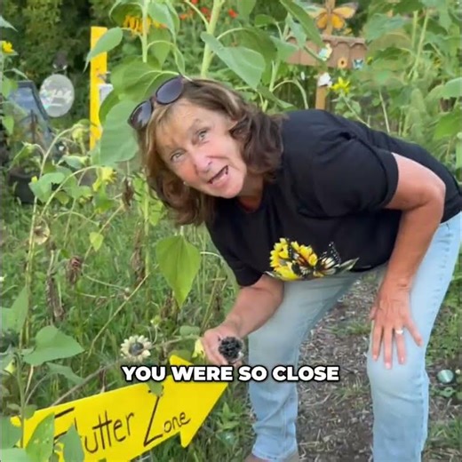 Butterfly Wings: How Fast Do They Flap Per Second? #shorts