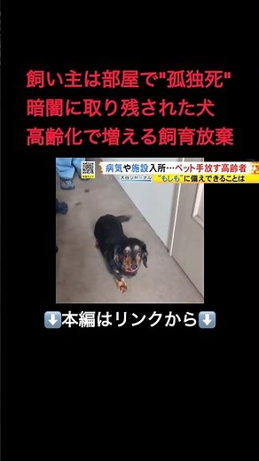 ⬆️本編はリンクから⬆️孤独死のケースも…ペットと暮らす高齢者による『飼育放棄』の実態 求められる「もしも」ヘの備え#shorts