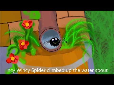 Incy Wincy Spider
