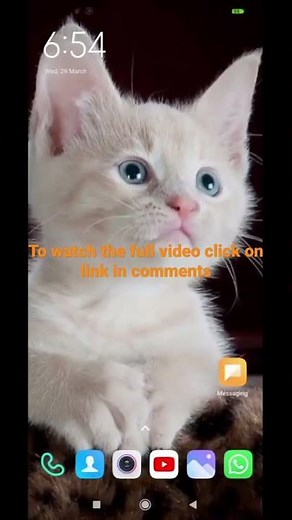 Shared Preferences in Android Studio