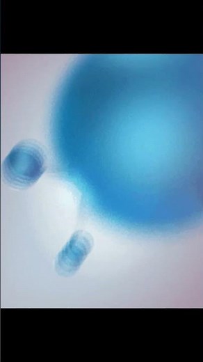 Samsung SGH-E730 (Prototype) Startup and Shutdown (2 Variants)