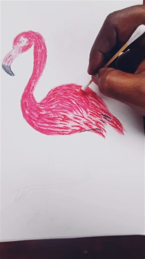 Rathika Anbuselvan on Instagram: "🦩 Flamingo Drawing using Color Pencils Simple & cute bird art 🎨 Ungalukku pidicha Like ❤️ Comment 💬 Share 🔁 pannunga #FlamingoArt #BirdDrawing #ColorPencilArt #ArtReels #SketchArt TamilArtist InstaArt DrawingReelsFlamingoDrawing BirdArt ArtOfTheDay ReelsIndia ArtLovers BeginnerArtist PinkArt CreativeDrawing"