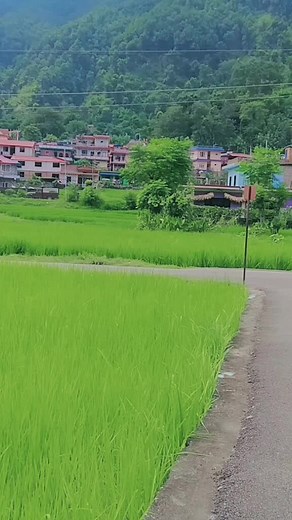 Diya (@dayaneupane123)’s videos with original sound - Diya