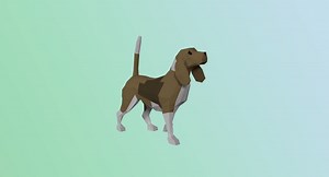 How to Render Transparent Backgrounds