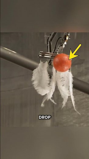 What Happens When a Bowling Ball and Feather Fall in a Vacuum #ahorts #youtubeshorts #viralshorts