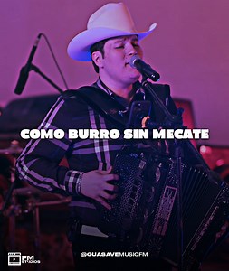 14K views · 428 reactions | como burro sin mecate te dispones a marcharte  | Guasave Music | Facebook