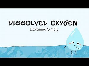 💧What Makes Water Clean? Dissolved Oxygen Explained Simply