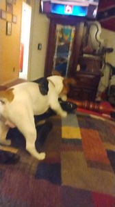 Gary Patterson on Reels