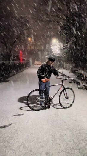 ❄눈🌸꽃 | Moon Flowers