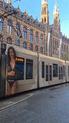 Everyday Street Life in Amsterdam 🇳🇱 | Tram Passing By | #Shorts