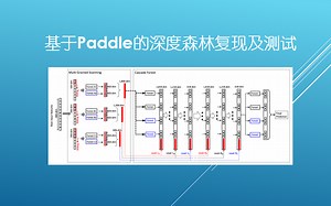基于paddle的深度森林复现及测试