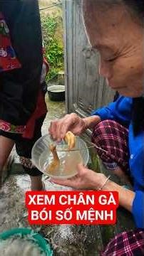 How the indigenous people use chicken feet to predict the family's fate in the new year.