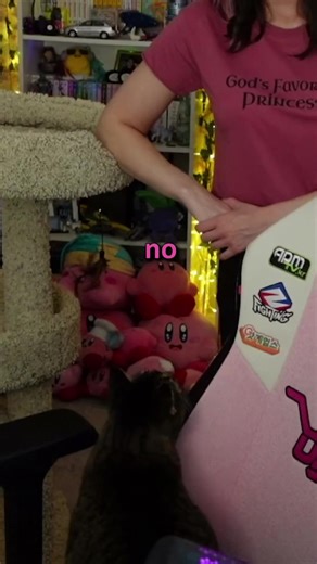 Understanding Your Talkative Cat Behavior